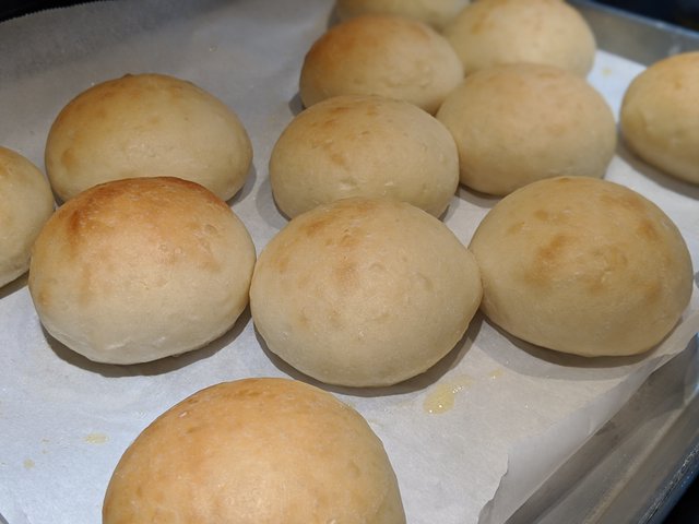 Best Burger Buns